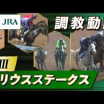 【調教動画】2023年 シリウスステークス|JRA公式