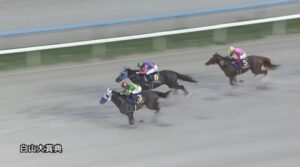 【白山大賞典2023】結果・動画/ウィルソンテソーロが断然人気に応える