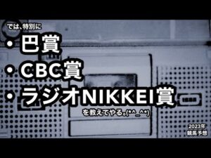 【競馬】レーベンスティール戸崎クビ・・モレイラでセントライト記念