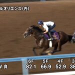 【セントライト記念2023】追い切り/抜群の動きを見せたのは