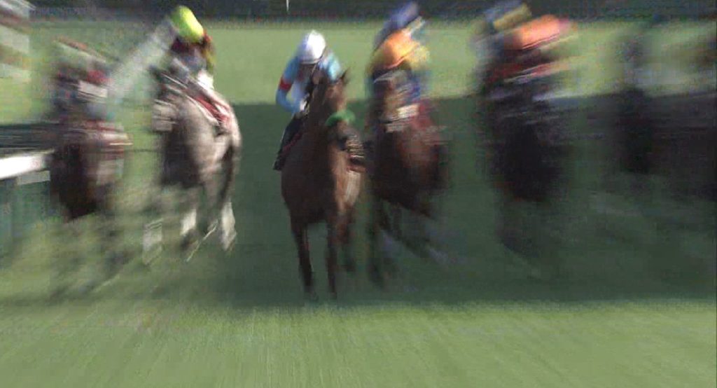 【競馬/エリ女】マリアライト次走は有馬へ 久保田師「不利のせいでリズムを崩した」