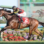 【悲報】G1馬ジェラルディーナひっそりと馬群…