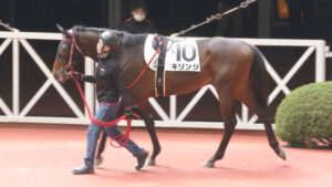 もしかして今年の3歳ダート馬弱くね？