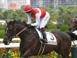 【2歳新馬】キズナ産駒、勝ちまくり