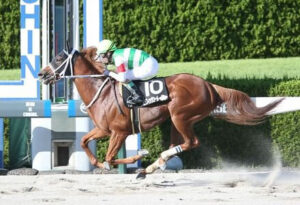 【JRAアニバーサリーS】セラフィックコール強すぎワロタw w w