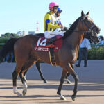 【悲報】横山武史、ぶ然！コメント拒否