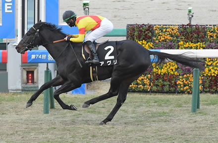 安田調教師がアグリの横山典弘を絶賛！「最高の競馬をしてくれました」