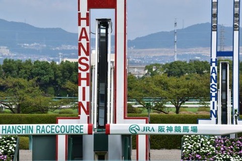 【日本レコード】阪神の馬場、高速過ぎwwww