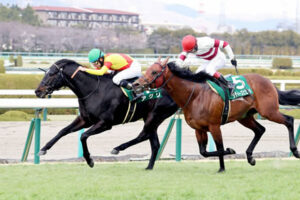 横山和生、今週も騎乗キャンセル セントウルSのアグリは横山典弘に乗り替わり