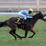 【競馬予想】[2]第59回新潟記念(GⅢ) /2023