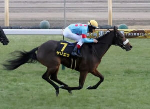 【競馬予想】[2]第59回新潟記念(GⅢ) /2023