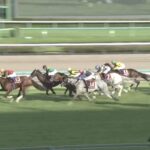 【オールカマー2023】結果・動画/ローシャムパークが差し切り重賞連勝