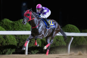 【サマーチャンピオン】武豊ヘリオスふっ飛ばす w w w