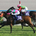 【訃報】カワカミプリンセス死す 06年オークス、秋華賞の2冠馬