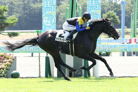 【野路菊S】レイデオロ産駒1番人気ラケダイモーンあっさりと敗戦