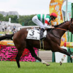 セントライト記念でソールオリエンスとレーベンスティールが新馬戦以来の激突!