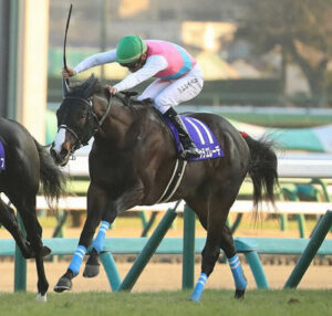 【セントライト記念】ドゥラエレーデとはなんだったのか