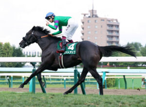 【札幌2歳S】セットアップが逃げ切り4馬身差圧勝！重賞初制覇
