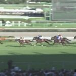 【競馬】セントライト記念はモレイラ騎乗のレーベンスティールがV