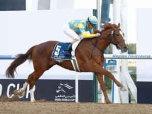 デルマソトガケ、ルメールでBCクラシック参戦