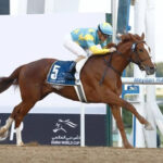 デルマソトガケ 日テレ盃出走見送りwww