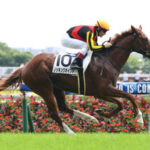 【競馬予想】[1]第59回新潟記念(GⅢ) /2023