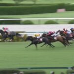 【セントウルステークス2023】結果・動画/テイエムスパーダが逃げ切り波乱を演出
