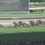 【セントライト記念2023】結果・動画/レーベンスティールが鮮やかに抜け出す