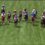 【競馬/エリ女】14番人気シングウィズジョイなんて買えない