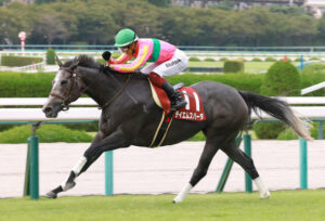 テイエムスパーダ　今村聖奈が今年3回騎乗して14着、16着、13着www