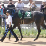 【競馬予想】[2]第37回セントウルステークス(GII) /2023