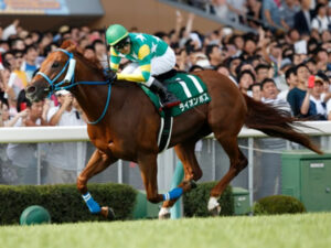 “千直の王”ライオンボスが登録抹消 川崎競馬に移籍