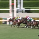 【神戸新聞杯2023】結果・動画/サトノグランツが差し切りレコードV