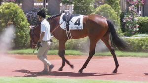 【競馬予想】第41回ローズステークス(GII) /2023