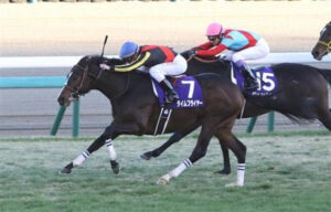 17年ホープフルＳ覇者タイムフライヤーが現役引退、乗馬へ