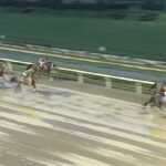 【オーバルスプリント2023】結果・動画/ドライスタウトが叩き合いを制する