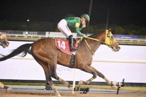 ウシュバテソーロ BCクラシックをガチで勝ちそうな件