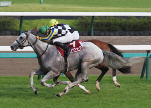 【競馬予想】[1]第69回産経賞オールカマー(GⅡ) /2023