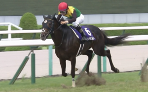タイトルホルダーは横山和生騎手でオールカマー参戦! 落馬負傷から復帰、最終追い切りも騎乗へ