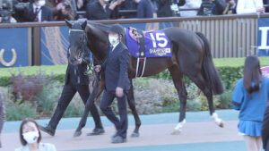 シャフリヤール、米ブリーダーズCターフを視野　喉の手術も終え術後も順調