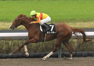 ミトノオー弱すぎワロタｗｗｗ