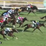 【競馬】新潟記念は北村宏騎乗のノッキングポイントがV
