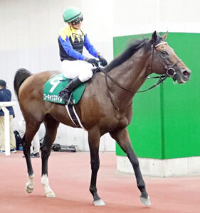 【新潟記念】古豪ユーキャンスマイル、同レース1勝2着2回ｗｗｗ