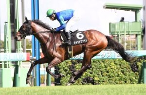 キャットファイト５馬身差圧勝レコードＶでボンドガールの株上がるｗｗ