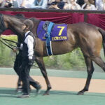 【競馬予想】第8回紫苑ステークス(GIII) /2023