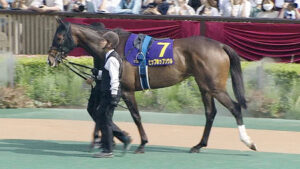 【競馬予想】第8回紫苑ステークス(GIII) /2023