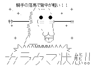 カラ馬で1着になった馬あげてけ