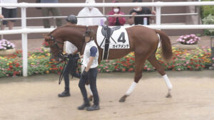 【競馬予想】第58回札幌2歳ステークス(GⅢ) /2023