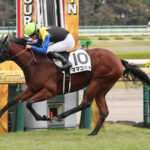 ママコチャ、川田将雅との新コンビでスプリンターズSに参戦