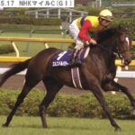 歴代で一番カッコいいと思う競争馬名をあげるスレ